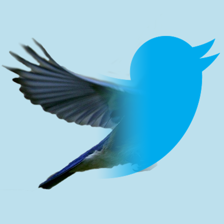 bluebird-to-twitter